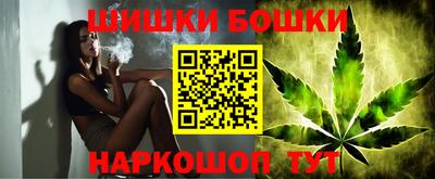индика Тулун