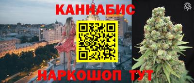 индика Тулун