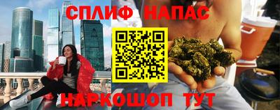 индика Тулун