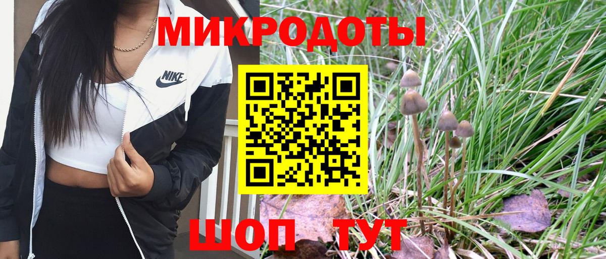Галлюциногенные грибы мицелий  купить   Нижнекамск  Вход с VPN 